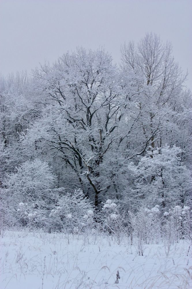 Белым, бело…..