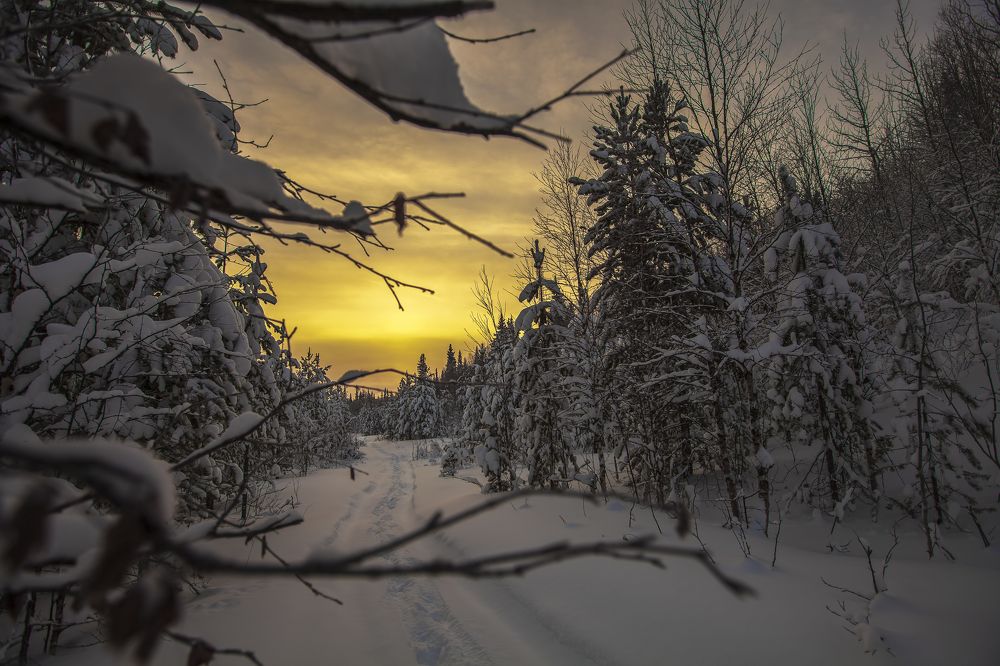 Photograph by Дмитрий Шавловский