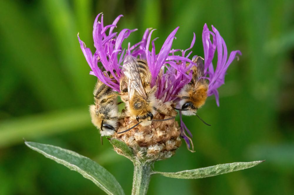 Photograph by Евгения Севрюкова