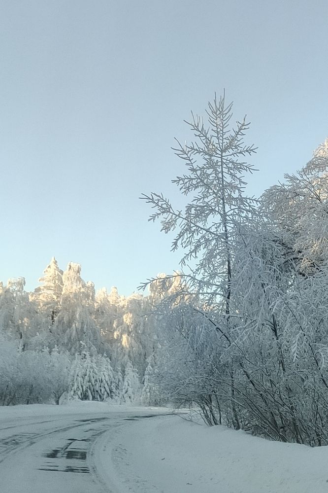 Photo #10071641