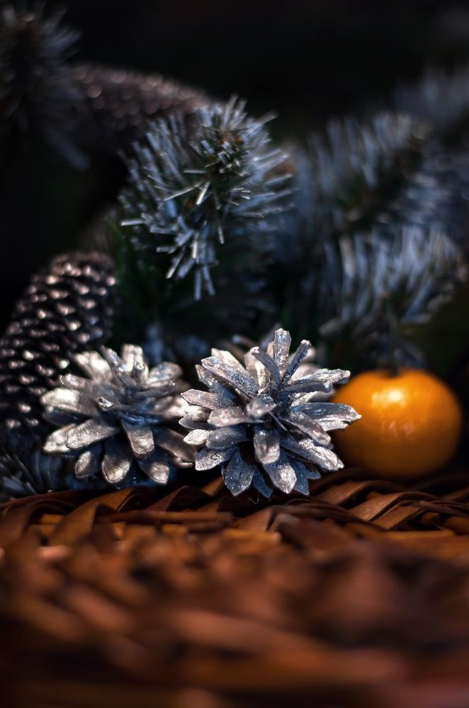 Photograph by Вероника Романенко