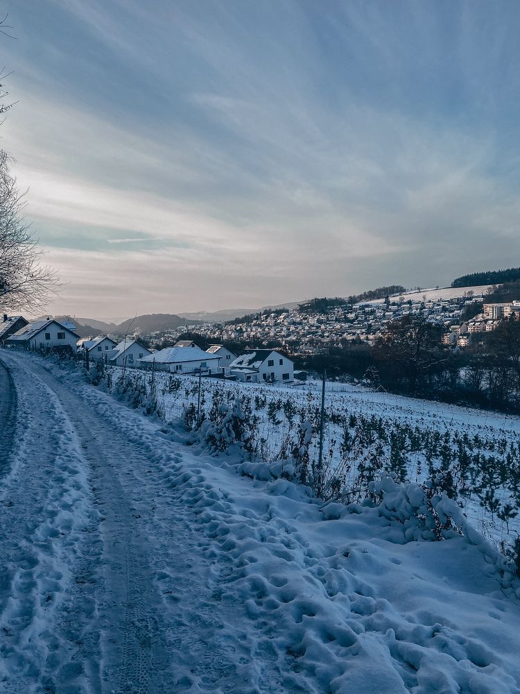 Photograph by Irina Chekanov