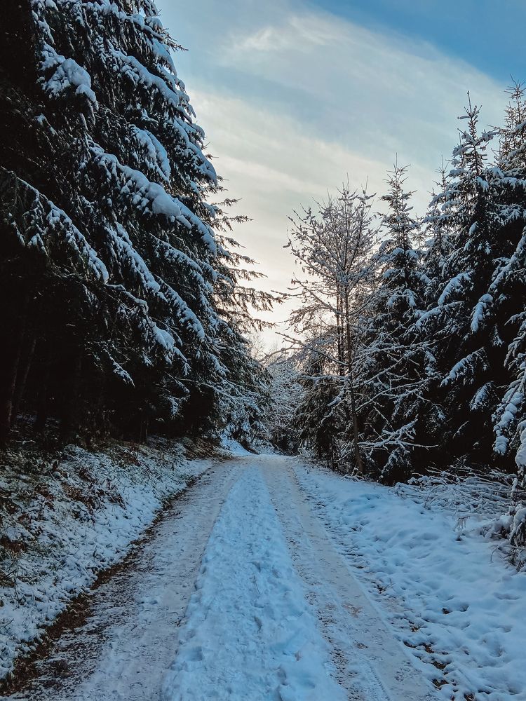 Photograph by Irina Chekanov