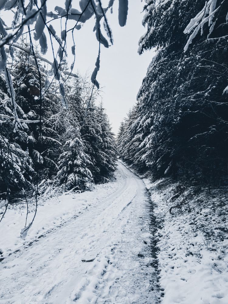 Photograph by Irina Chekanov