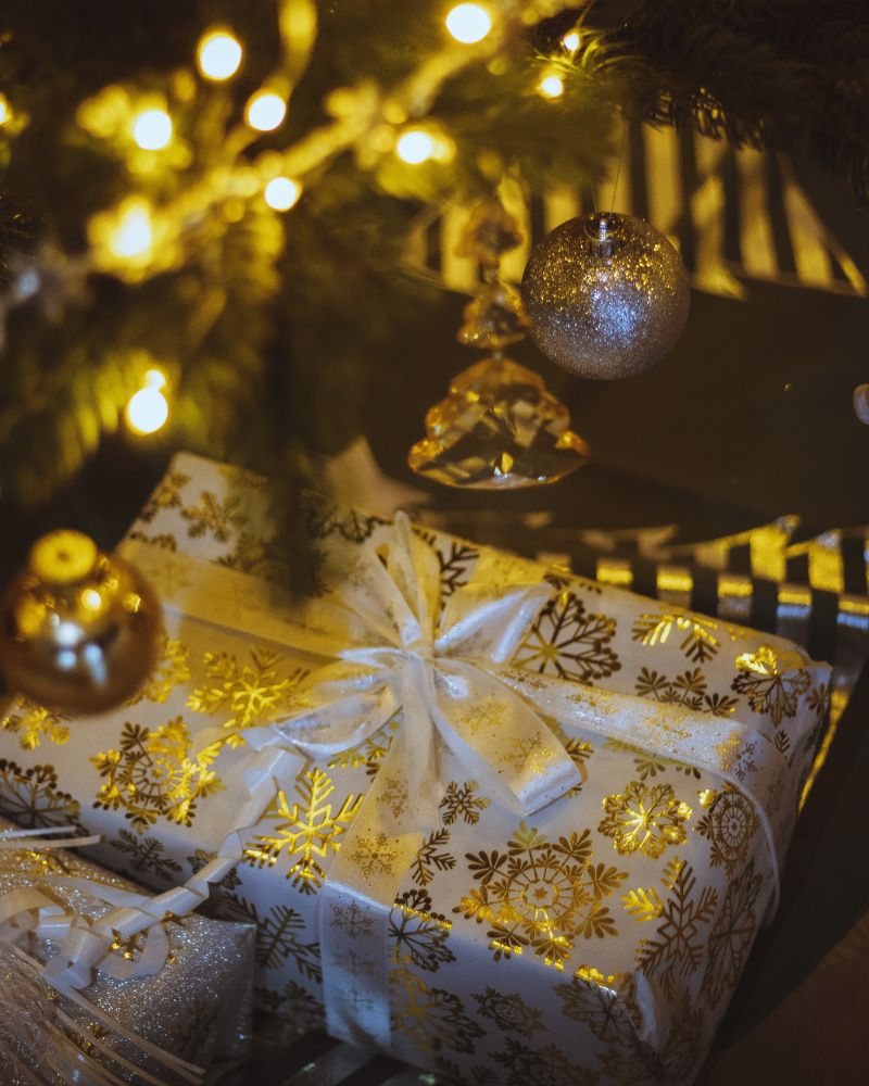 Photograph by Irina Chekanov