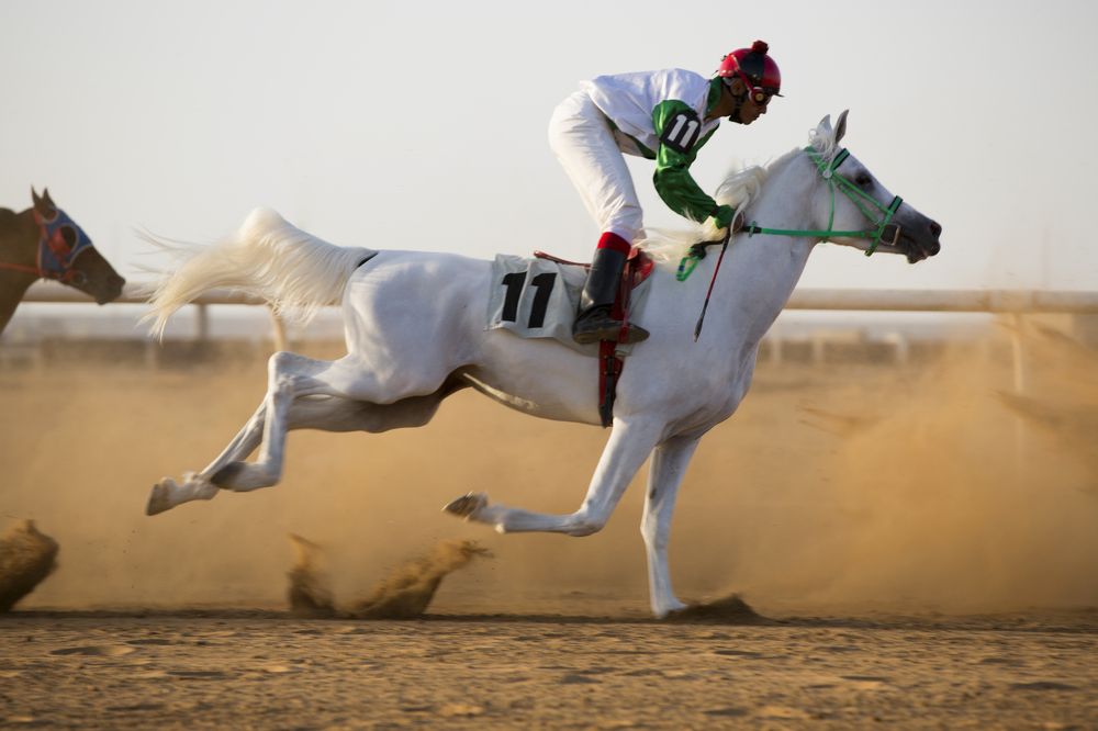 Фотография автора Najla Angawi