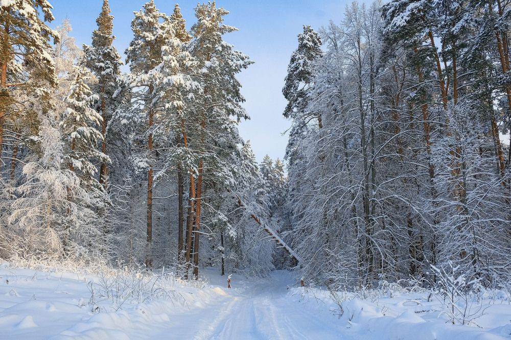 Photograph by Александр Денисов