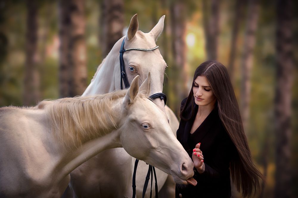 Photograph by Алина Жук