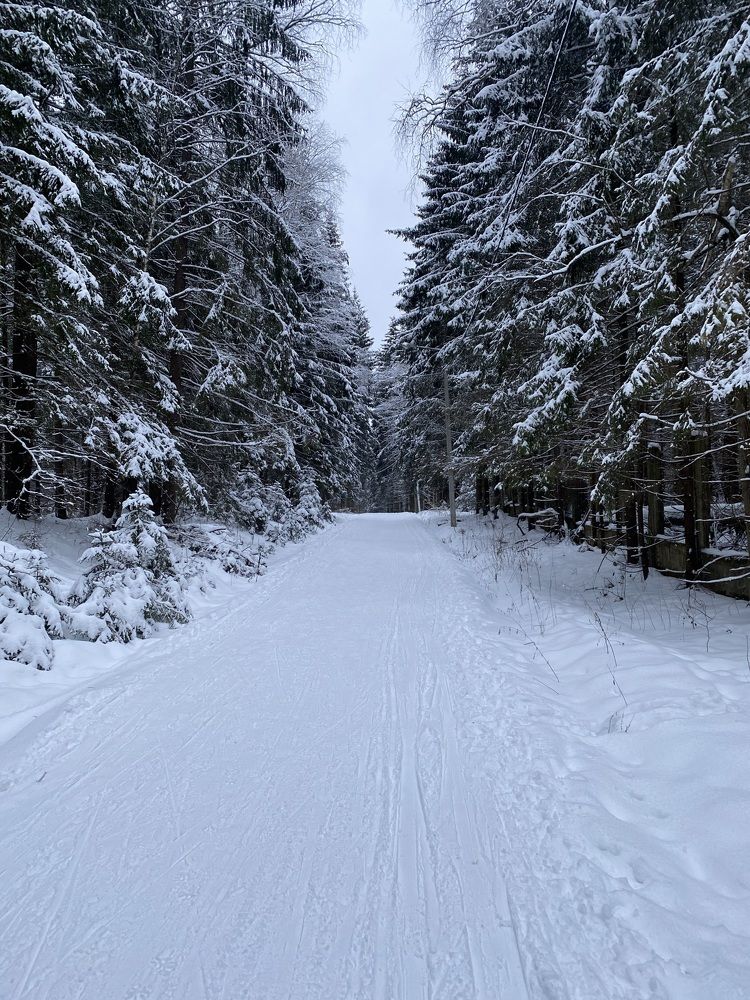 Photograph by Юлия Гавриленко