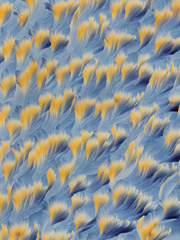 Photograph by Yuan Ji