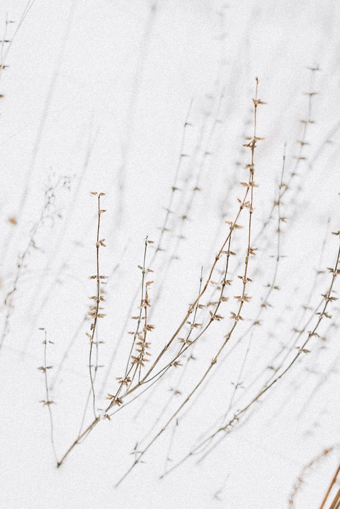 Photograph by Анастасия Черкасова