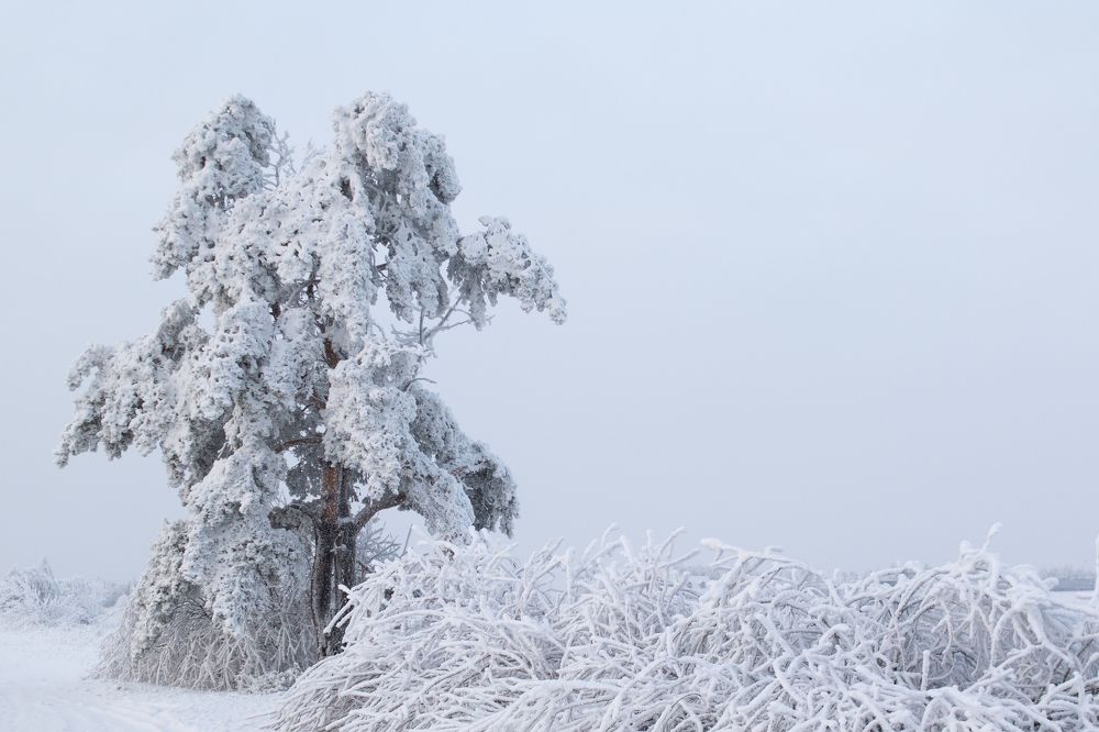 Photograph by Ольга Осинина