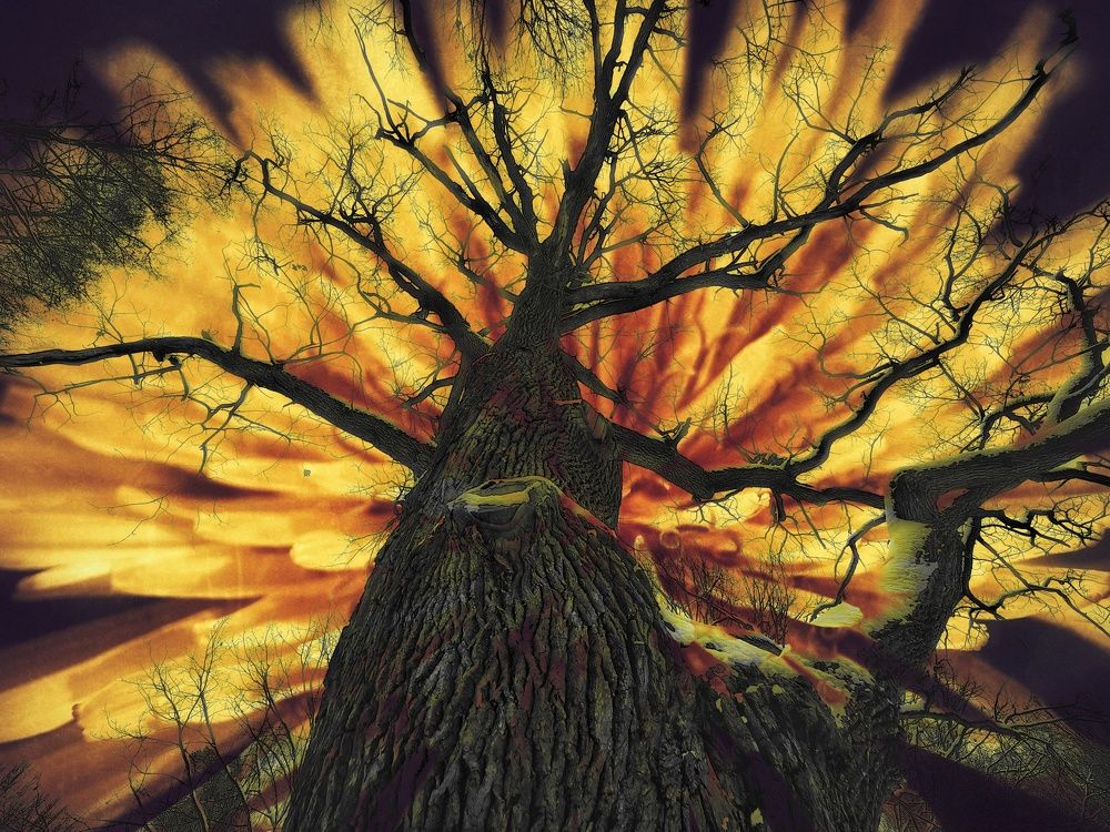 Иггдрасиль