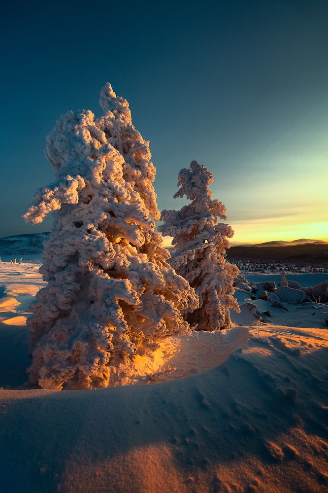 Photograph by Андреев Сергей