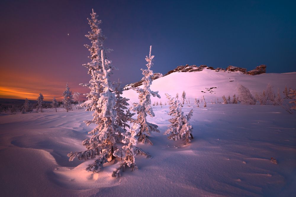 Photograph by Андреев Сергей