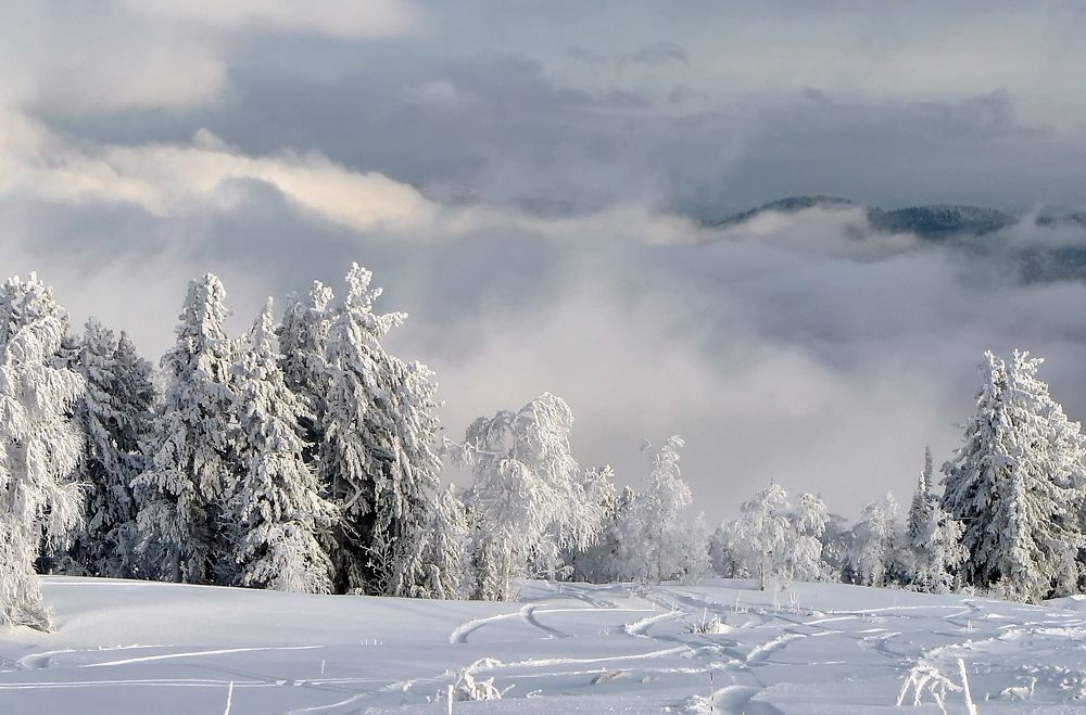 Photograph by Gunter Graiss