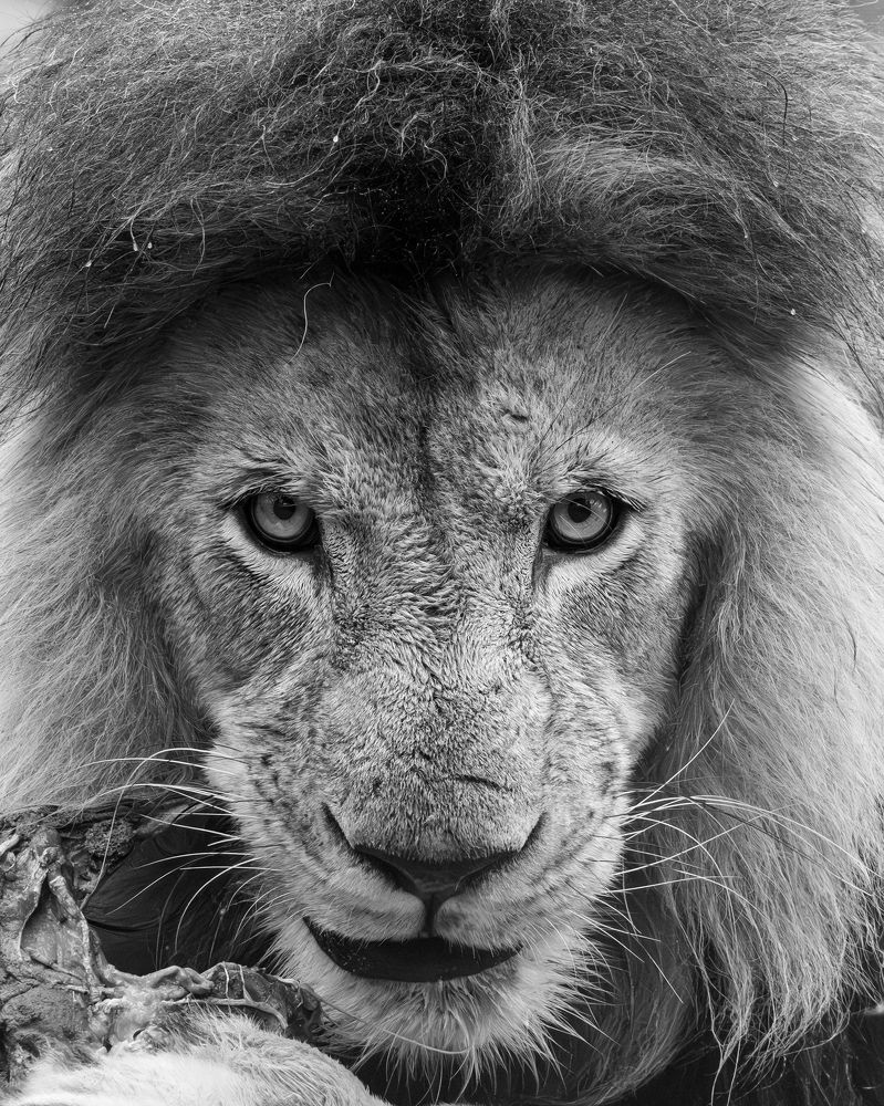 Photograph by Popiyakova Natalia