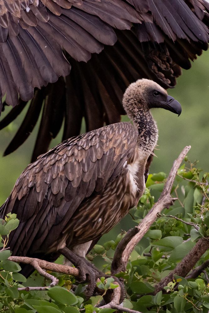 Photograph by Popiyakova Natalia