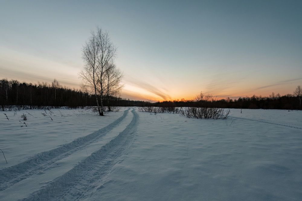 Photograph by Алексей Чеботарев