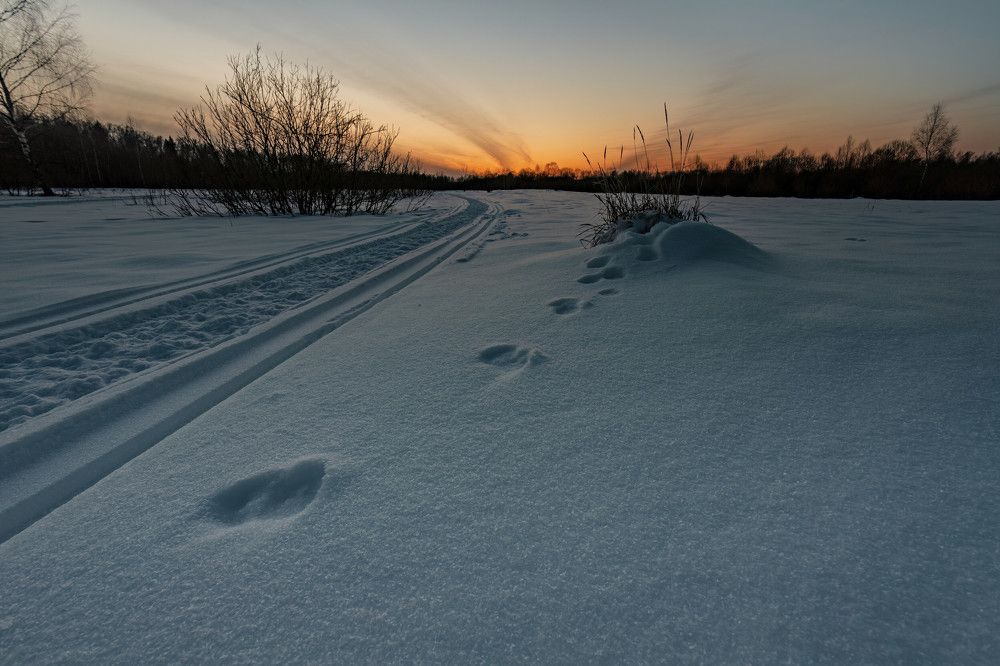 Photograph by Алексей Чеботарев