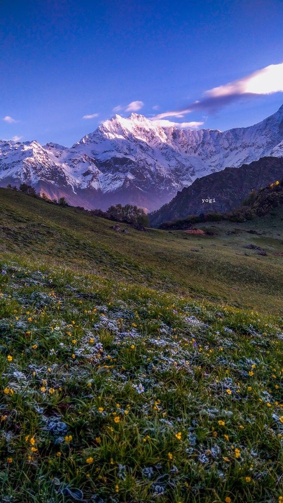 Photograph by Yogi Lingwal