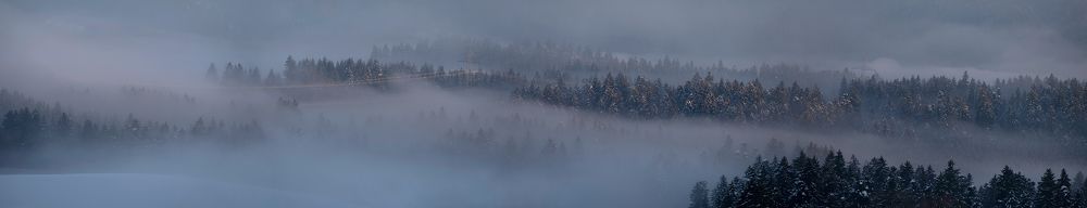 Photograph by Ala Botnarescu