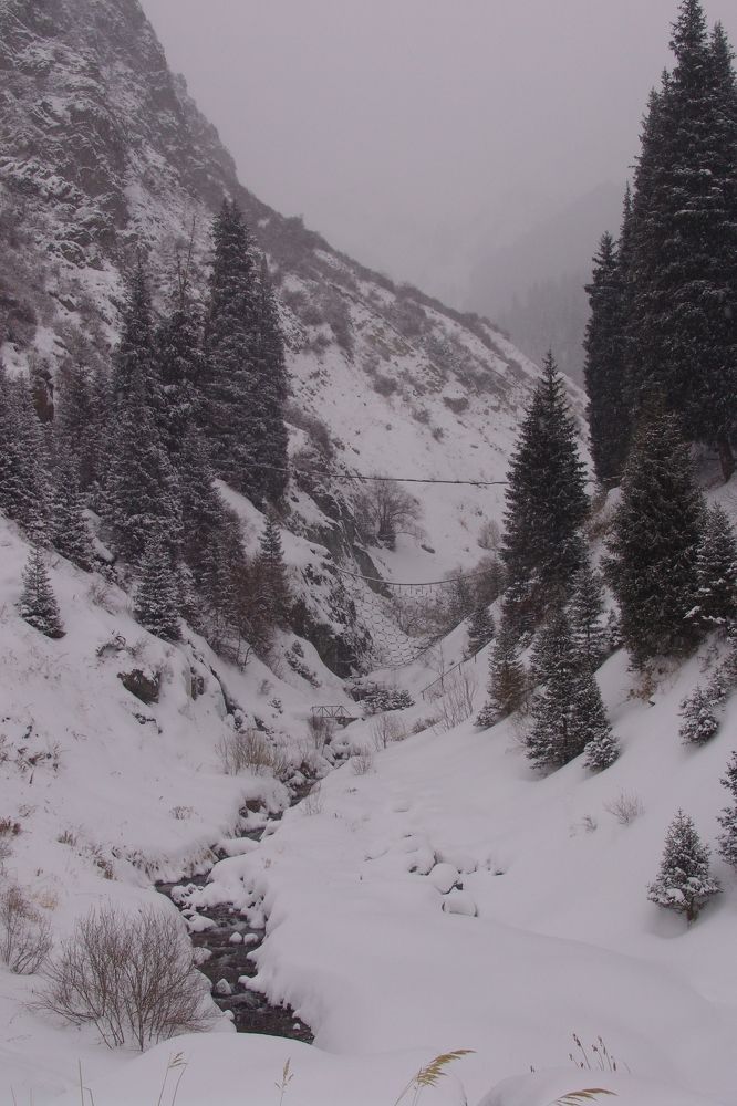 Photograph by Михаил Максимов