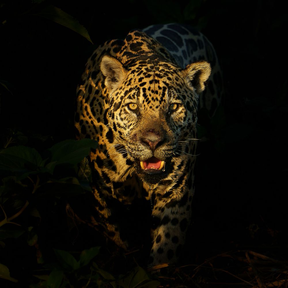 Photograph by Turgay Uzer