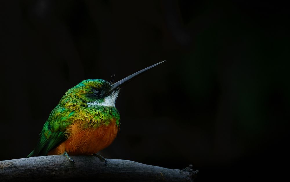 Photograph by Turgay Uzer