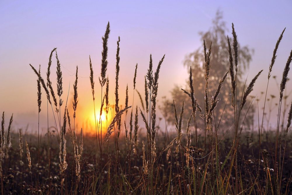 Photograph by Cергей Абакумов