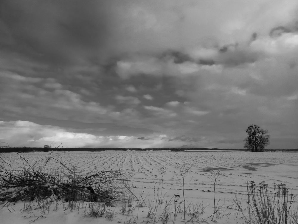 Фотография автора Екатерина Иванова