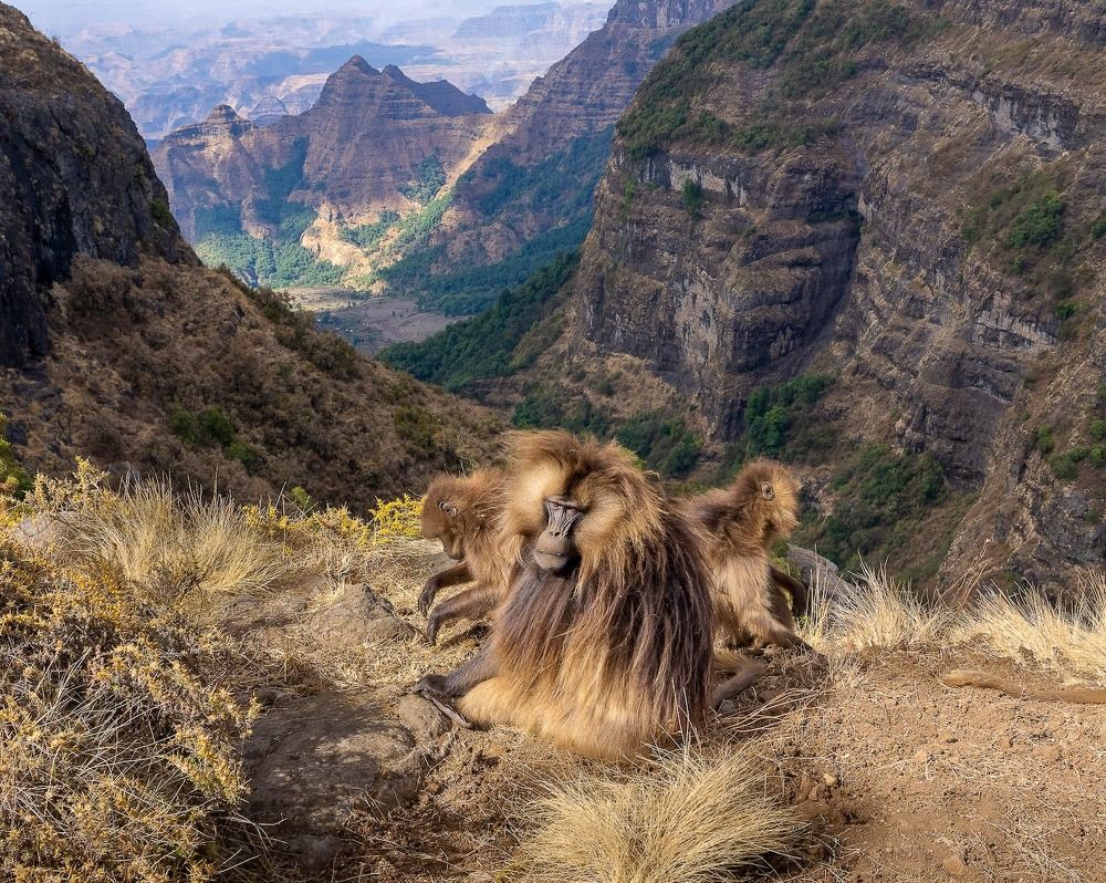 Photograph by Turgay Uzer