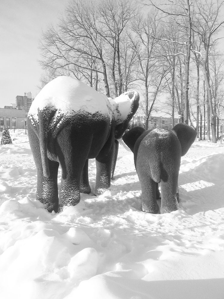 Photograph by Татьяна Кунц