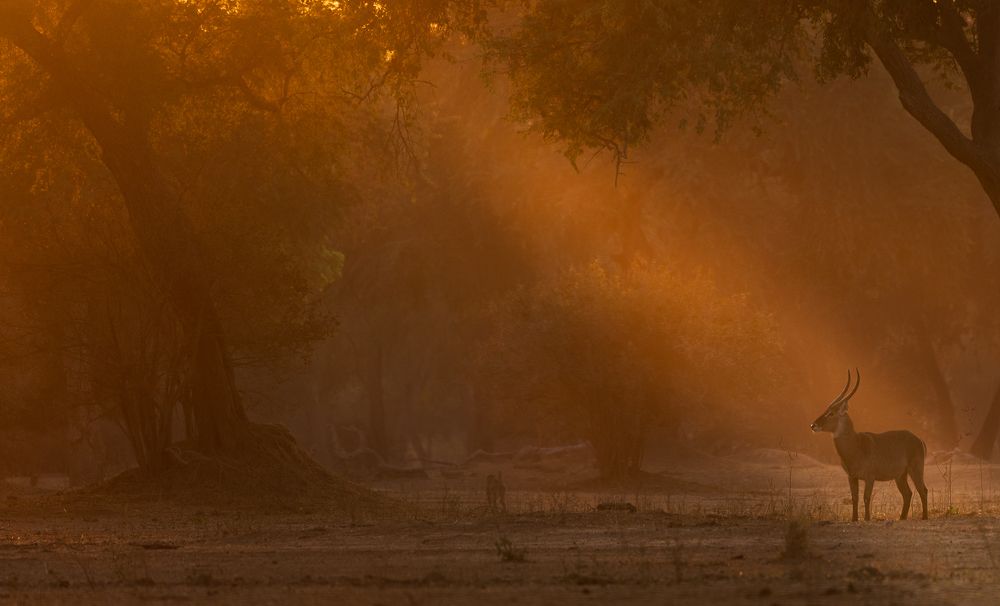 Photograph by Turgay Uzer