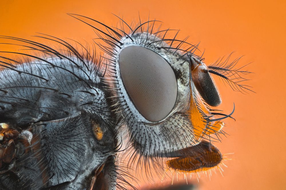 Photograph by Ganev Tsvetan