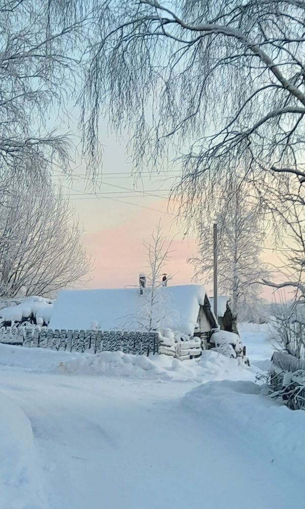 Photograph by Соколова Елена