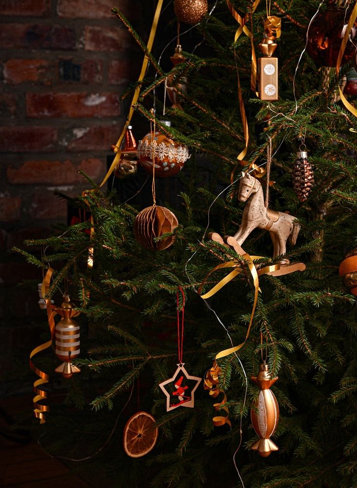 Фотография автора Liudmila Kostina