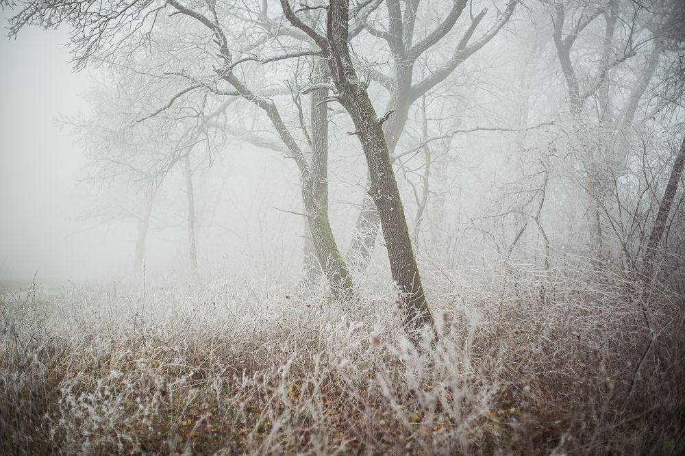 Photograph by Филипп Бабенко