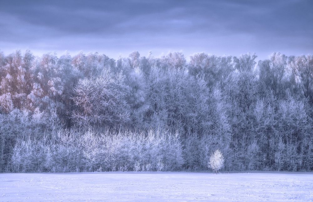 Photograph by Юлия Лушникова