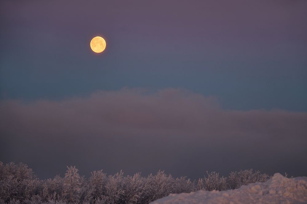 Photograph by Ксения Щербань