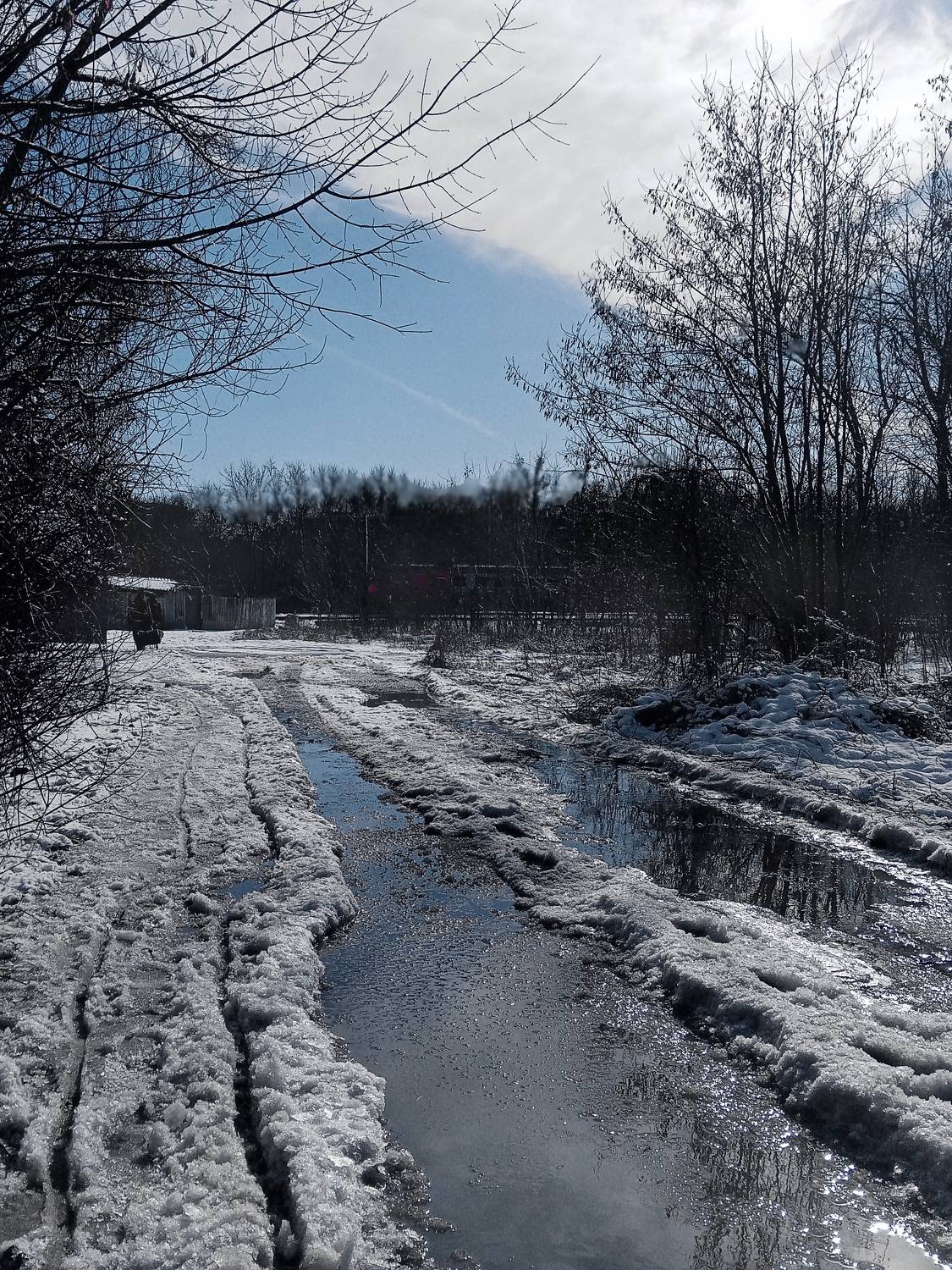 Photo #10072683