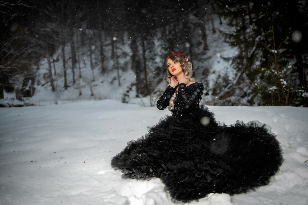 Winter Fairy Tale