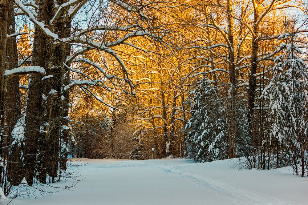 Photograph by Павел Белоусов