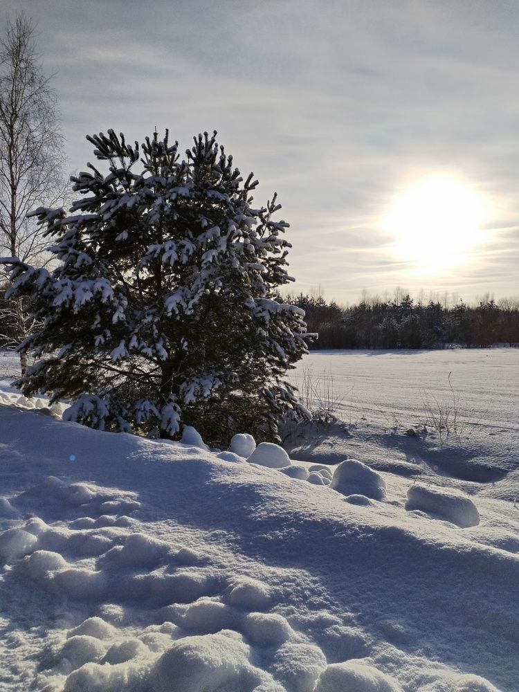 Photograph by Юлия Меркулова