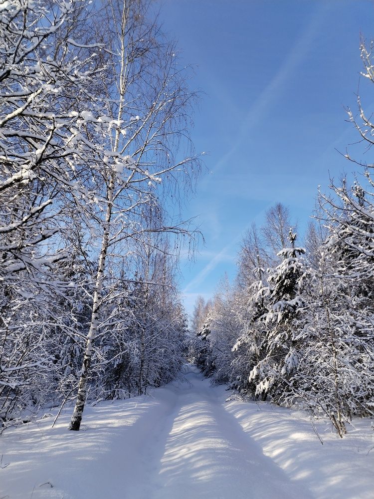 Photograph by Юлия Меркулова