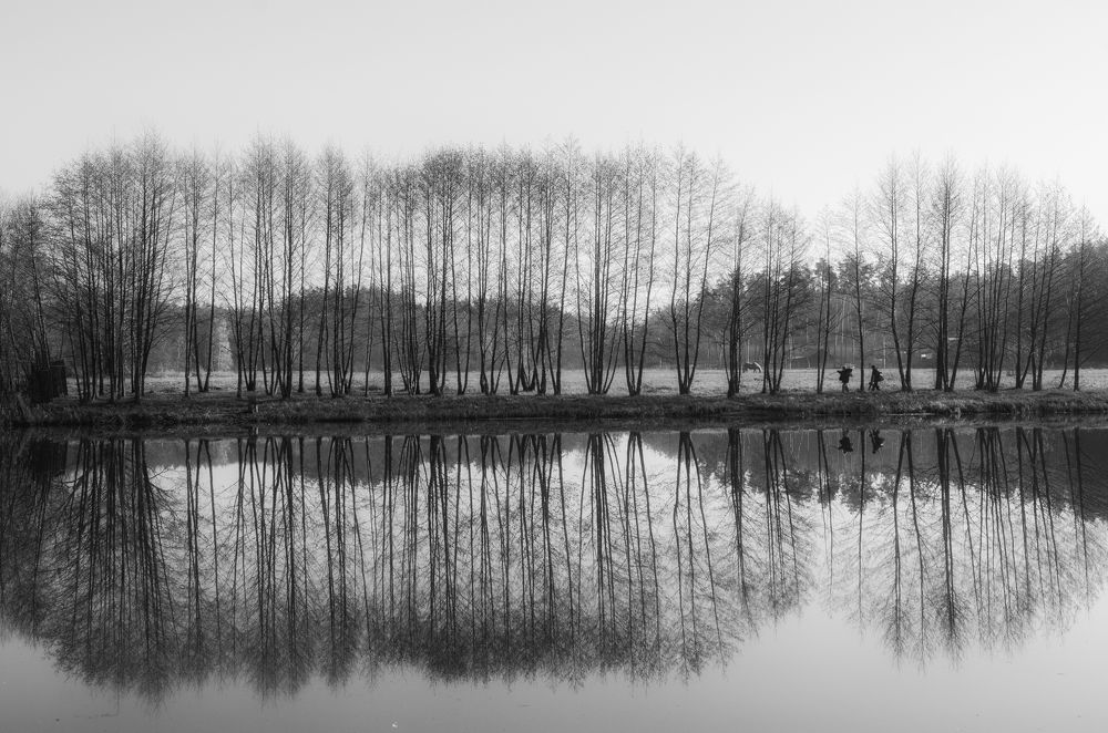 Photograph by Гайдук Евгений