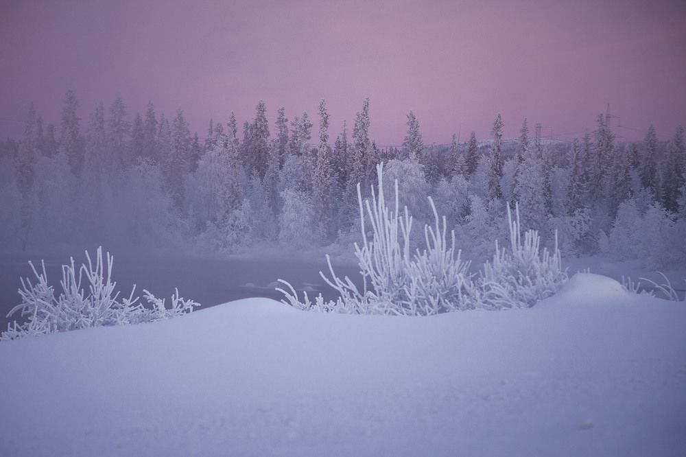 Зимняя сказка