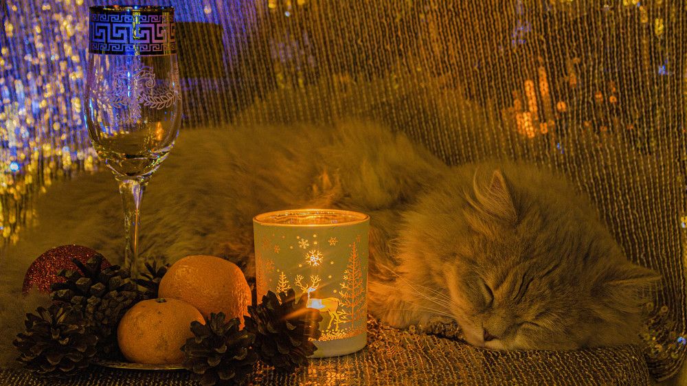 Фотография автора Александр Довганюк