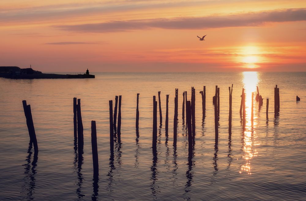 Фотография автора Константин Яковлев