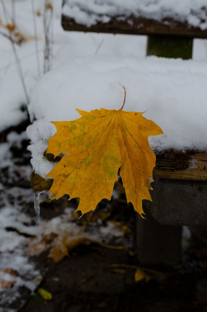 Photograph by Oleg Yashin